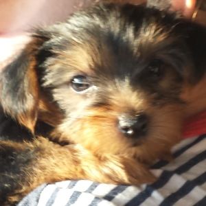 Meet your Posher, Christy